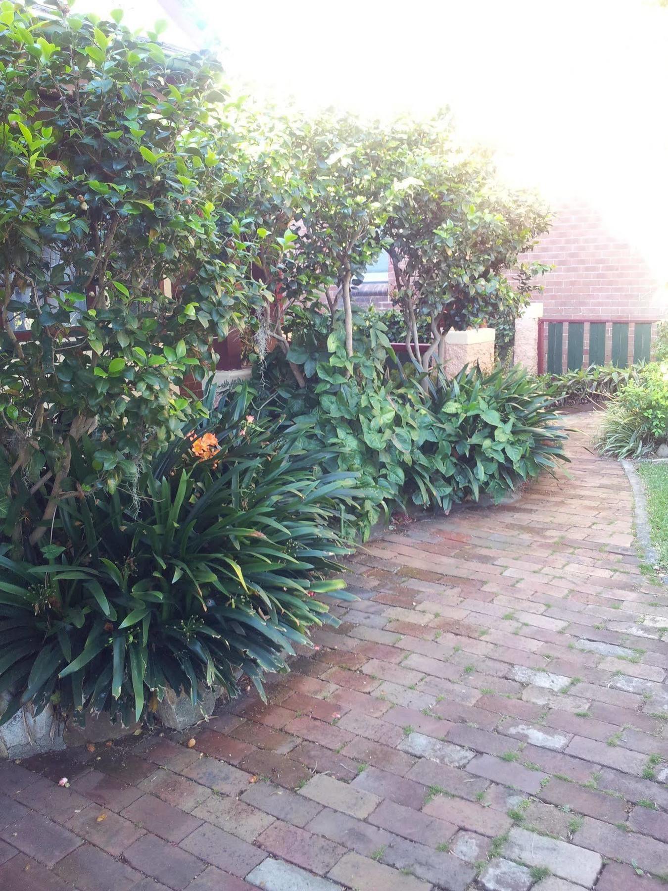 Hamilton Heritage B & B Newcastle Exterior photo